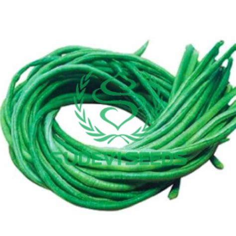 green long sudevi seeds pvt