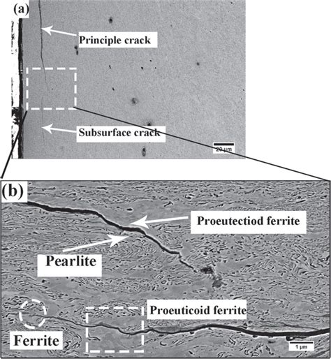 The Relationship Between Microstructure And The Formation Of Fatigue