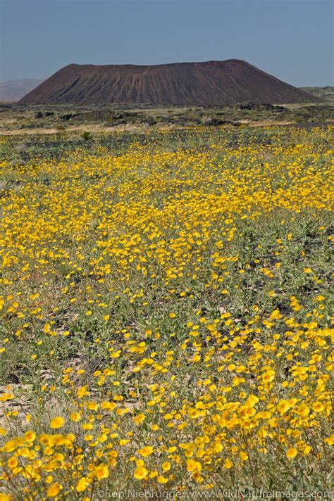 Amboy Crater | Photos by Ron Niebrugge