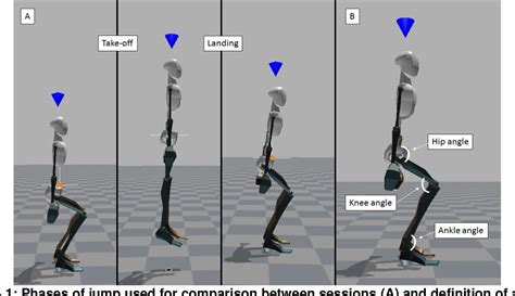 Figure From Variability In Vertical Jump Height And Lower Limb