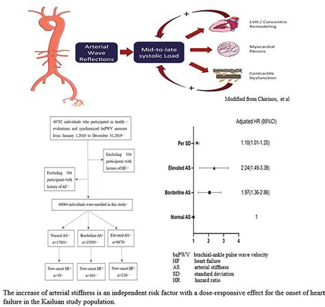 Association Between Arterial Stiffness And New Onset Heart Failure The