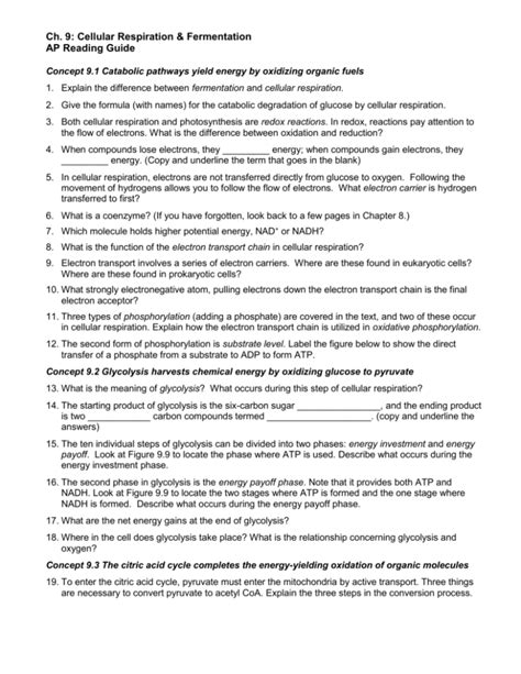 Ch Cellular Respiration Fermentation Ap Reading Guide