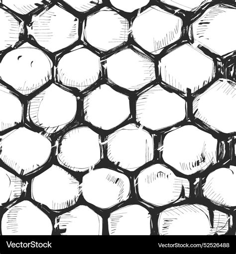 A Grungy Hand Drawn Honeycomb Pattern In Black Vector Image