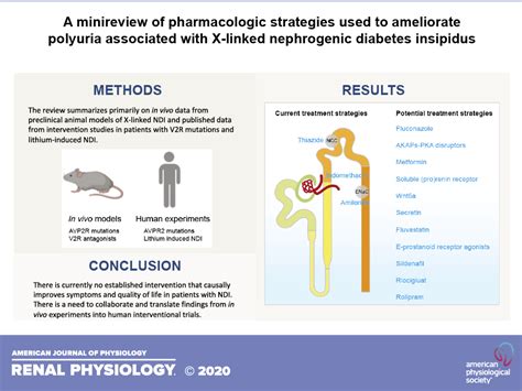 A Mini Review Of Pharmacological Strategies Used To Ameliorate Polyuria Associated With X Linked