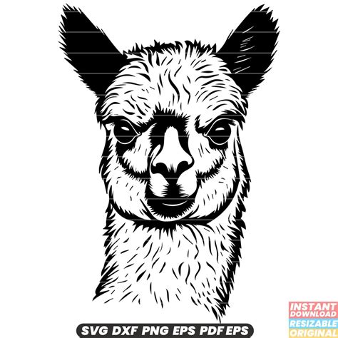 Alpaca Svg Dxf Png Cute Animal Cut File Fluffy Alpaca Etsy