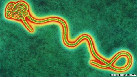 Le Virus Ebola Et L Pid Mie Il Fait Toujours Beau Quelque