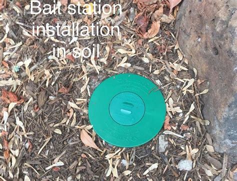 How Do Termite Bait Stations Work