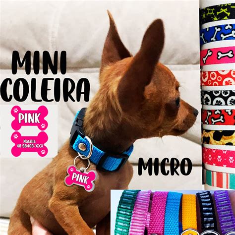 Coleira Para Filhote De Cachorro - Kit Coleira Pequena Com Identificação Para Filhotes De Cachorro Raças ...