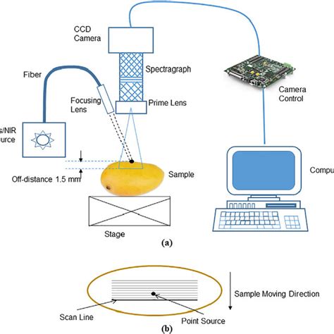 Measurement Principle Of Spatially Resolved Technique For Homogeneous