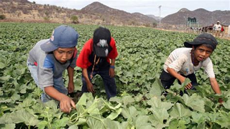 Más De 168 Millones De Niños Trabajan En El Mundo La Mitad Arriesga Su