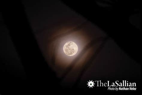 The LaSallian On Twitter VANGUARD A Pink Moon Brightened The Night