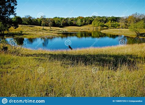 Rural Texas Landscape during Fall Season Stock Image - Image of rural ...