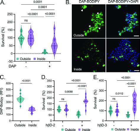 Surface Penetration Enhances Enterococcal Tolerance To Ce Targeting