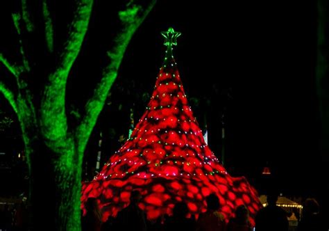 Sandi, the world’s only 700-ton holiday sand tree lit in West Palm