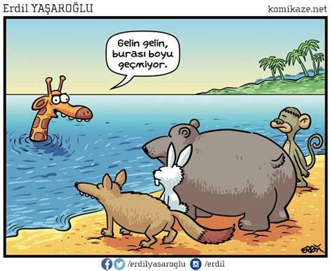 Hayvan Karikatürleri