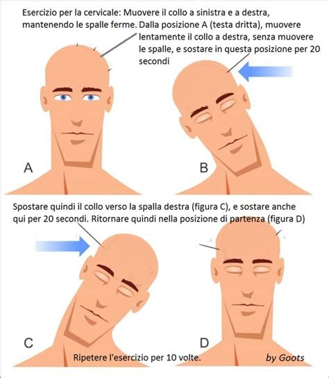 Ginnastica Per Il Collo Esercizi Per Collo Elastico E Tonico Face Yoga