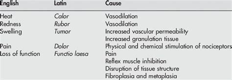 Cardinal signs of inflammation | Download Table