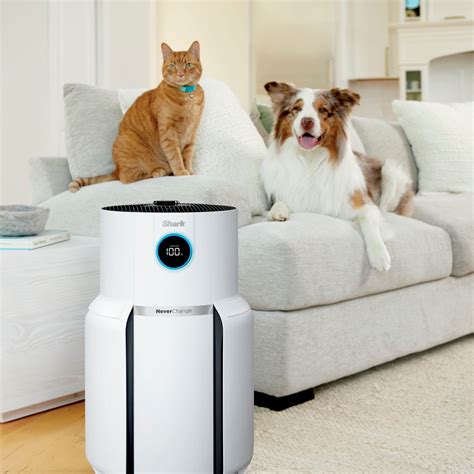 Questions And Answers Shark Neverchange Air Purifier Max Year