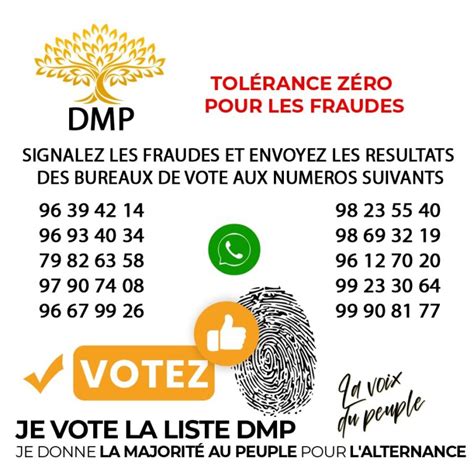 L Gislatives Et R Gionales Au Togo Les Directives De La Dmp Pour La