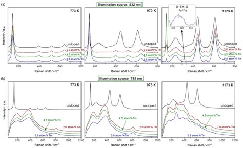 Raman Spectra Obtained Using A 532 Nm A And A 785 Nm B Illumination