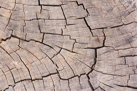 Grietas De Madera Viejas Del Fondo Incons Til De La Textura Foto De