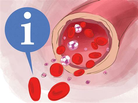 how to increase lymphocyte count 9