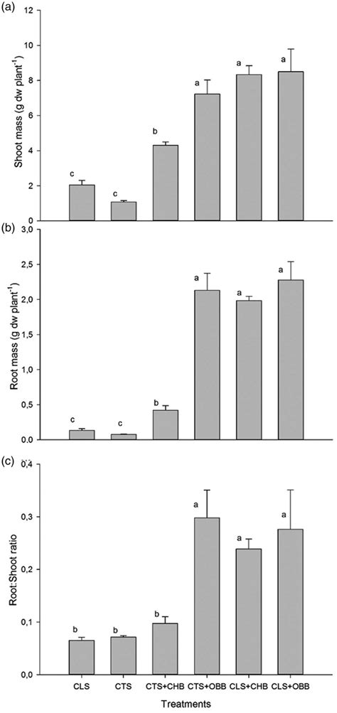 Shoot A And Root B Dry Mass And Root Shoot Ratio C Of B Juncea