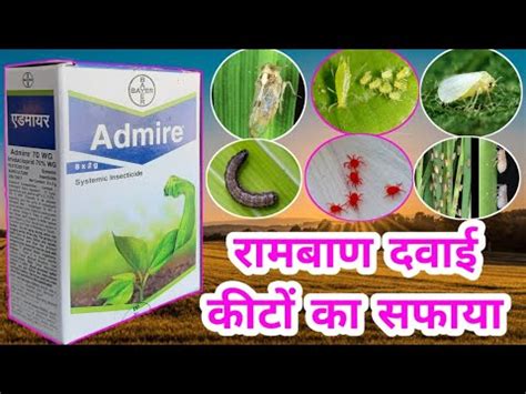 Bayer Admire Insecticide How To Use Admire Systemic Insecticide