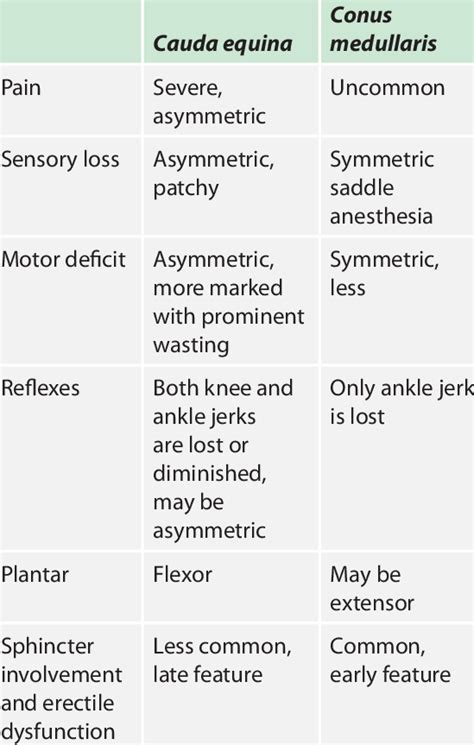 Comparison of clinical features between cauda equina and conus ...