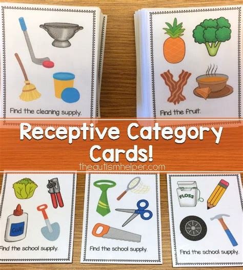 Receptive Category Cards The Autism Helper Receptive Language Activities Preschool