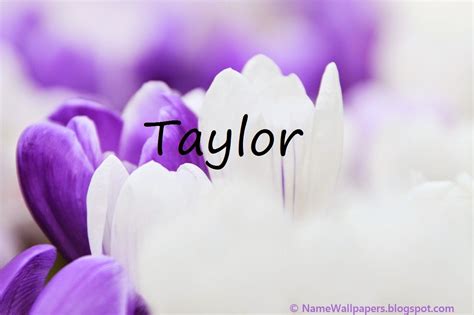 Taylor Name Wallpapers Taylor ~ Name Wallpaper Urdu Name Meaning Name ...