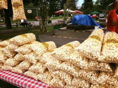 Pumpkin Village at Mapleside Farms - Brunswick, OH