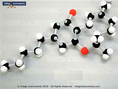 Tetrahydrocannibinol (THC) Molecular Model, Assembled