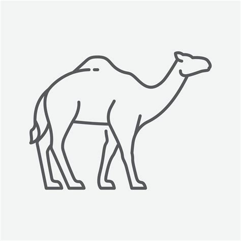 Camel Icon Vector Camel Sign Side View Camel Symbol Vector