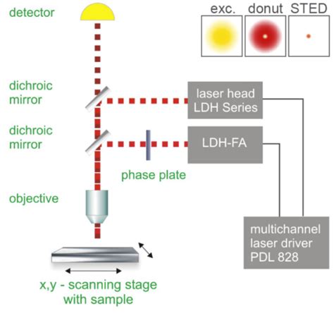 STED Microscopy: Turning Molecules Off And On