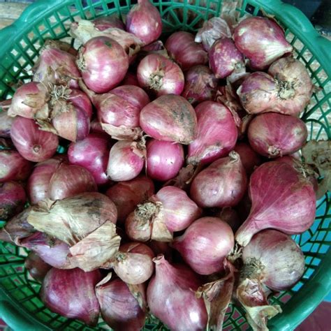 Jual Brambang Bawang Merah Tulungagung Kg Shopee Indonesia