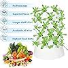 Amazon ZXMT 40 Pots Hydroponics Tower Aquaponics Grow System