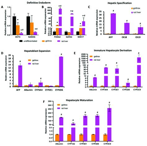 MRNA Expression Levels Of Key Markers Specific To Each Differentiation