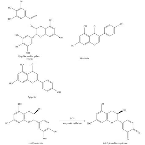 Chemical Structures Of Epigallocatechin Gallate Genistein Apigenin