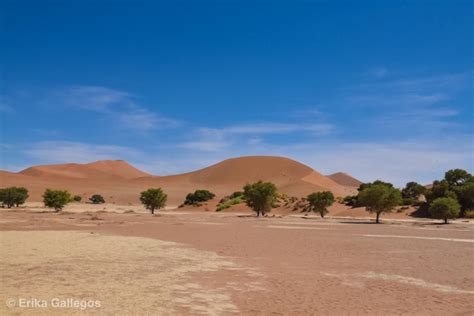 Stunning Sossusvlei and Deadvlei – camera4two