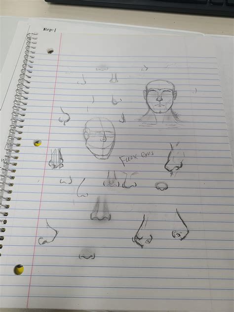 Different Nose Shapes Drawing
