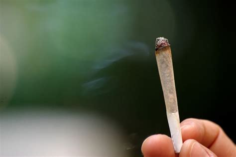 8 Surprising Days: How Long Marijuana Lingers In Your Hair