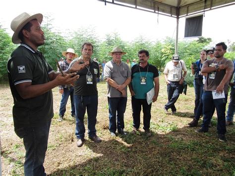 Sistema Faema Senar E Parceiros Promovem Dia De Campo Em Fortuna