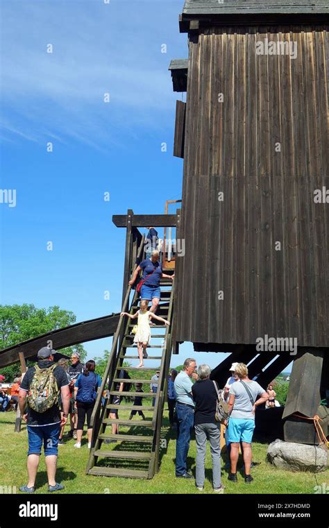 Bockwindmühle Pudagla Deutscher Mühlentag mit Schaumahlen und Festen