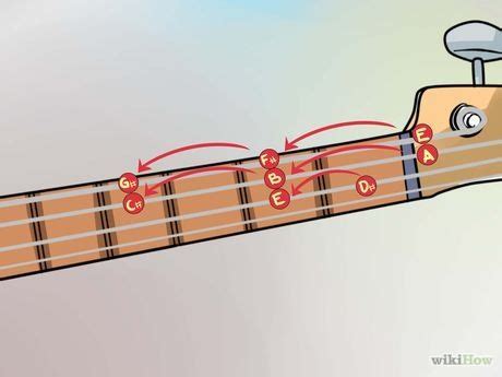 Ways To Teach Yourself To Play Bass Guitar Wikihow Basic Guitar