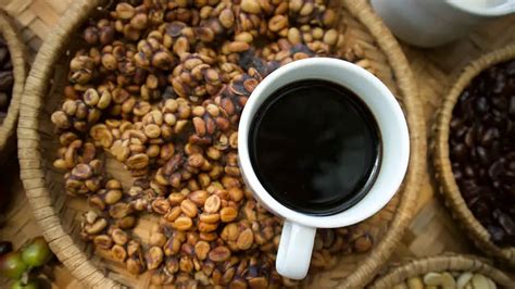 Kopi Luwak Coffee: Why Is It So Expensive? - Craft Coffee Guru