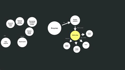 Enzyme Concept Map By Areez Salawu On Prezi