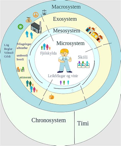 Simple Bronfenbrenner Ecological Model Sale Online Dakora Co