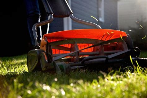 7 Best Reel Mower For Your Lawn - Gardening Dream