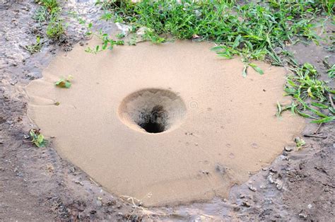 Hole In The Ground With Sand Water Well Stock Photo Image Of